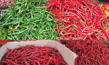 Harga Sayur Mayur Di Sejumlah Pasar Tradisional Melonjak