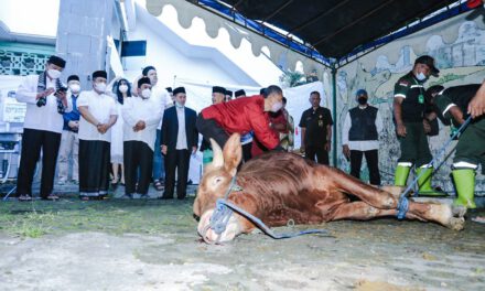 Pemkot Bandung Tebar 45 Sapi dan 100 Domba