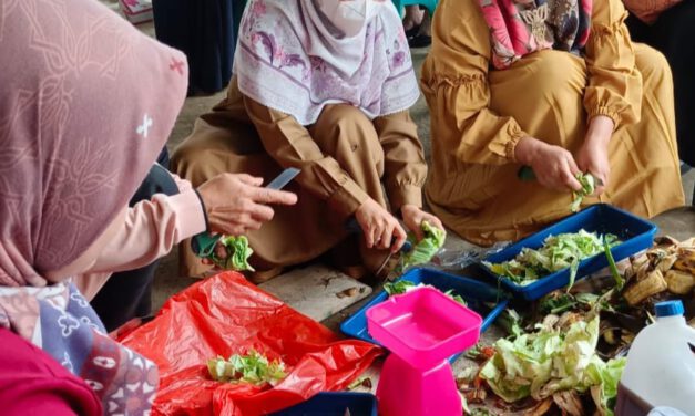 Selamatkan bumi beralih ke pertanian organik