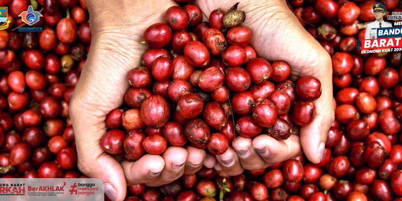 Sukses Ekspor Kopi Mandiri, Petani Kopi KBB Dapat Apresiasi