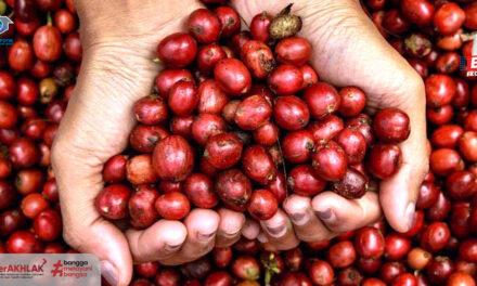 Sukses Ekspor Kopi Mandiri, Petani Kopi KBB Dapat Apresiasi