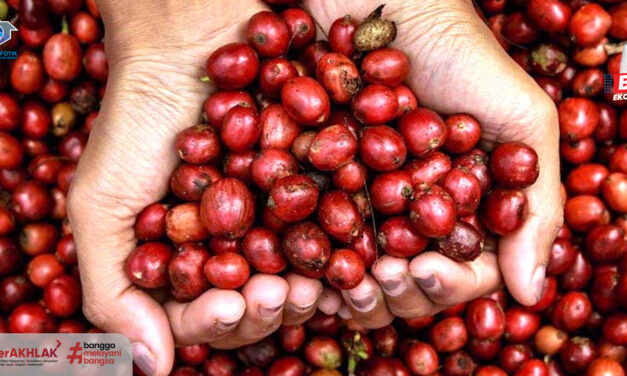 Sukses Ekspor Kopi Mandiri, Petani Kopi KBB Dapat Apresiasi