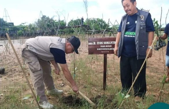 Kawasan pantai Palangpang ditanam 6000 mangrove