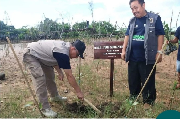 Kawasan pantai Palangpang ditanam 6000 mangrove